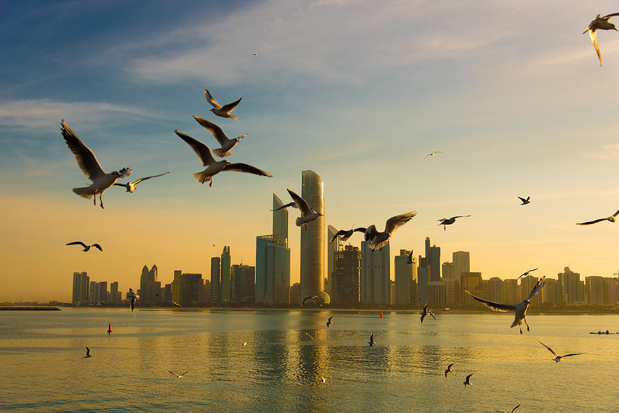 Good Morning Abu Dhabi Photograph by Mrinal Nath