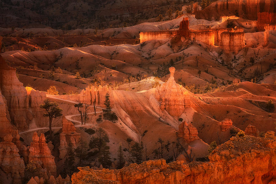 Landscape Photograph - Good Morning, Bryce Canyon by Leechee