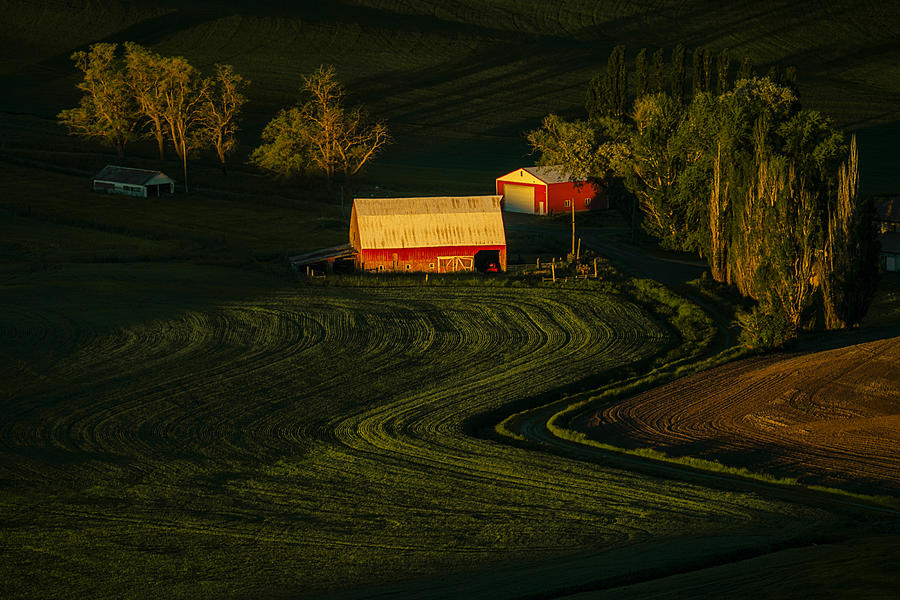 Good Morning Farmland Photograph by Lydia Jacobs