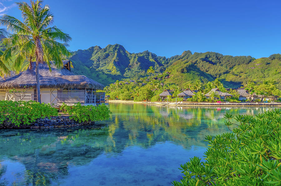 Nature Photograph - Good Morning from Moorea French Polynesia by Scott McGuire
