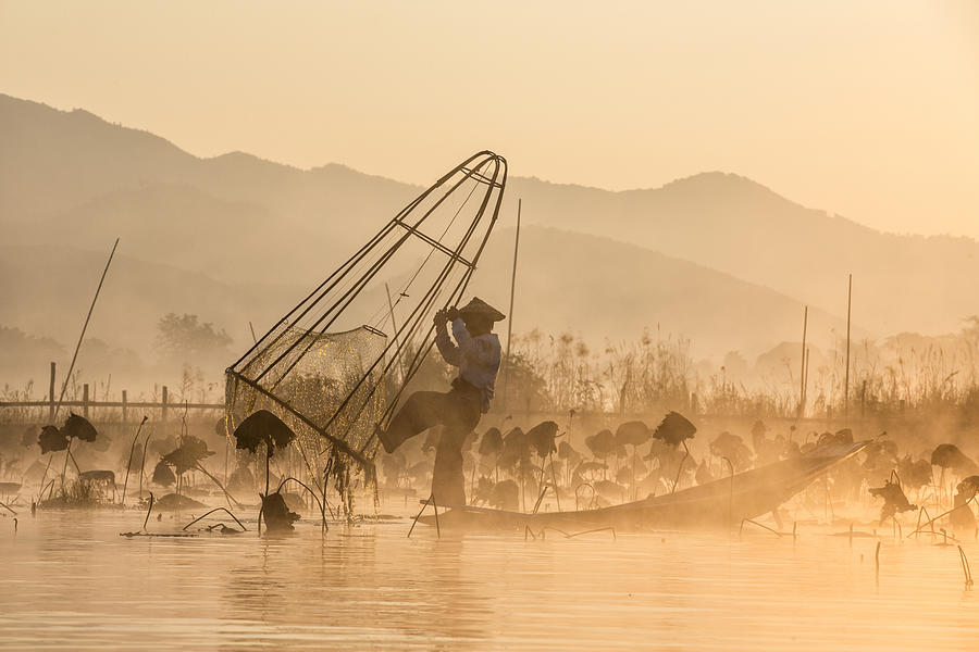 Fish Photograph - Good Morning, Lets Fishing! by Gunarto Song