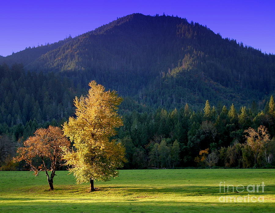 Good Morning by Marie Neder Good Morning by Marie Neder