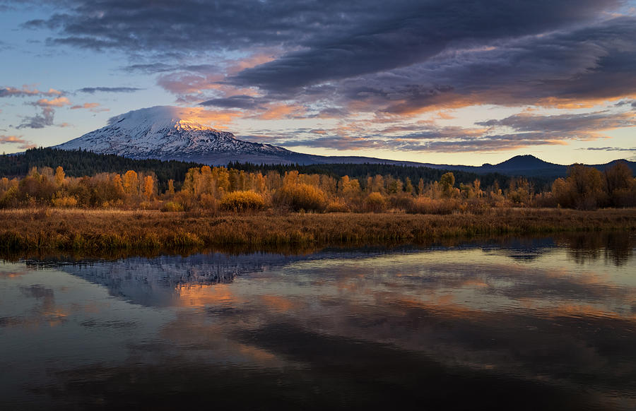 Good Morning Mt Adams Photograph by Paige Huang