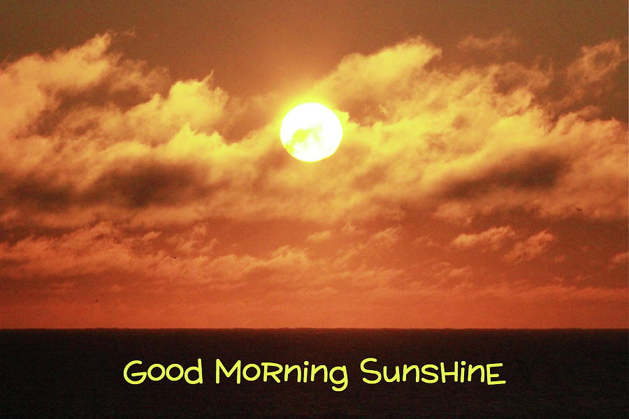 Good Morning Sunshine Photograph By Cathy Lindsey