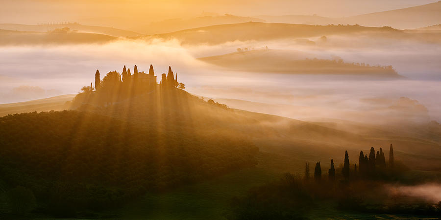 Tree Photograph - Good Morning Tuscany by Martin Froyda
