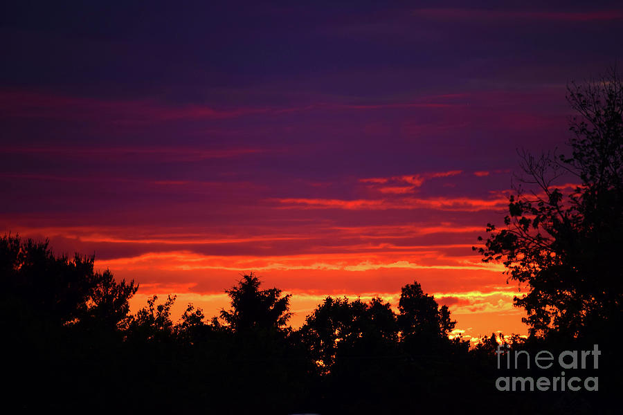 Good Morning World by Patti Whitten Good Morning World by Patti Whitten
