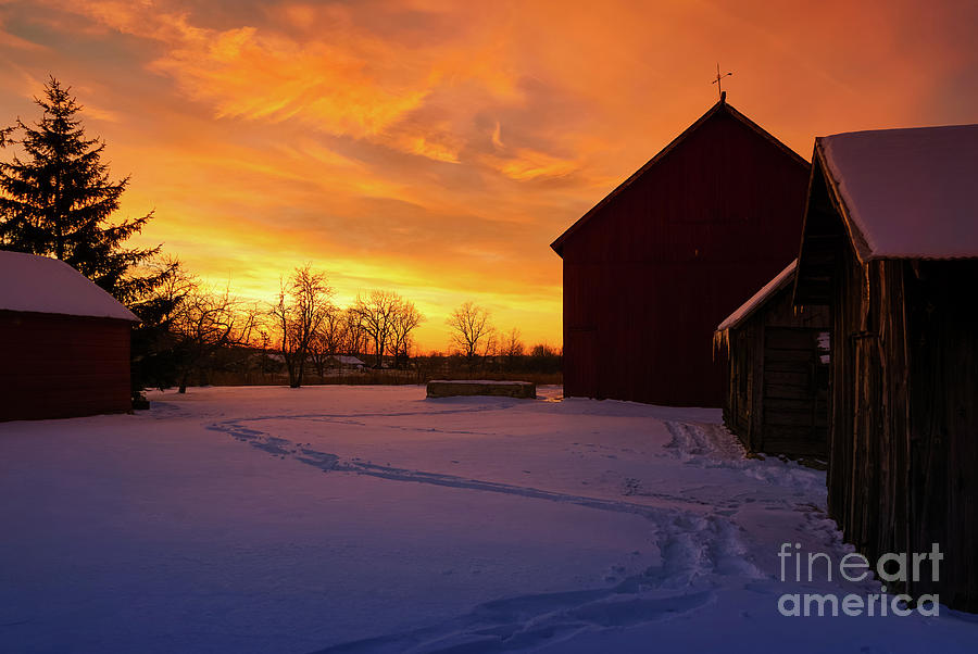 Sunset Photograph - Goodnight Farm by Rachel Cohen