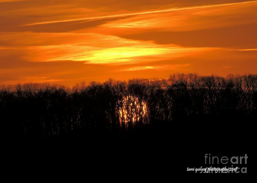 Sunset Photograph - Goodnight Sun by Tami Quigley
