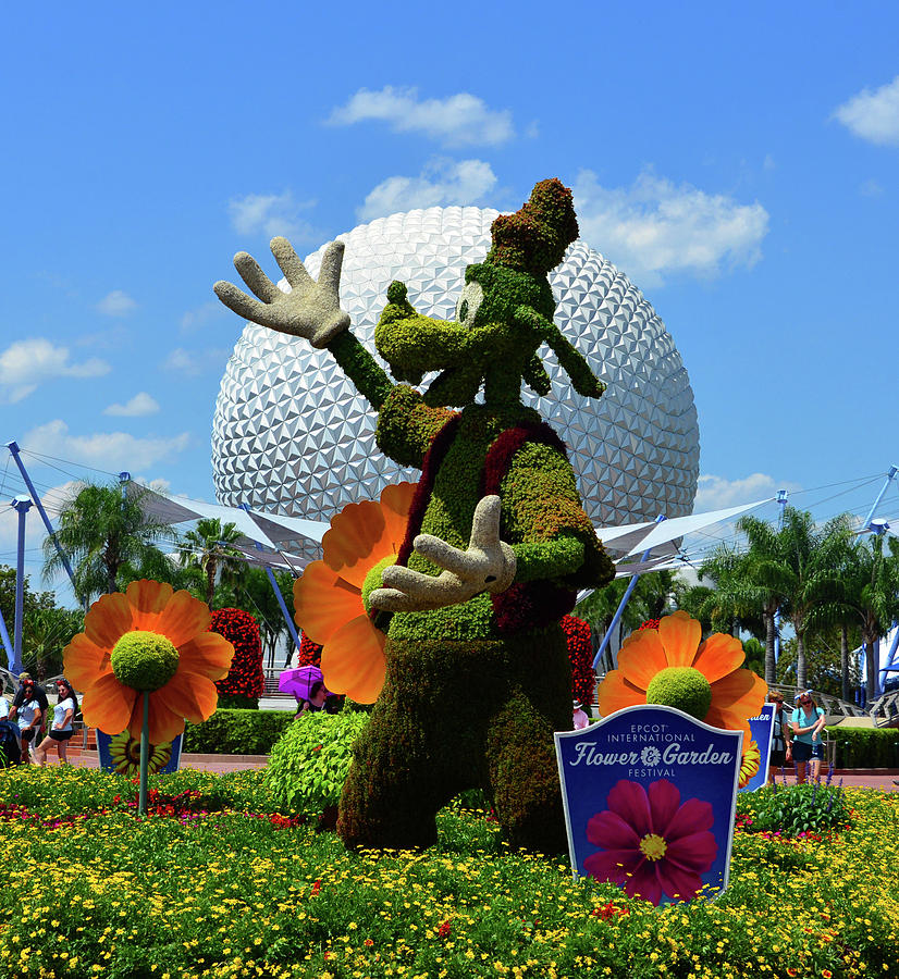 Goofy topiary at Epcot Photograph by David Lee Thompson