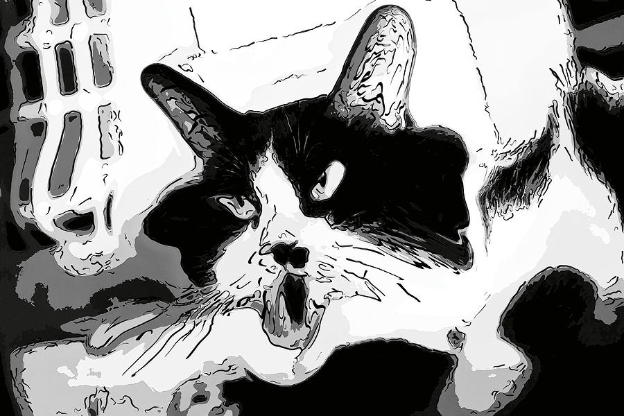 Goofy Tuxedo cat Digital Art by Don Northup