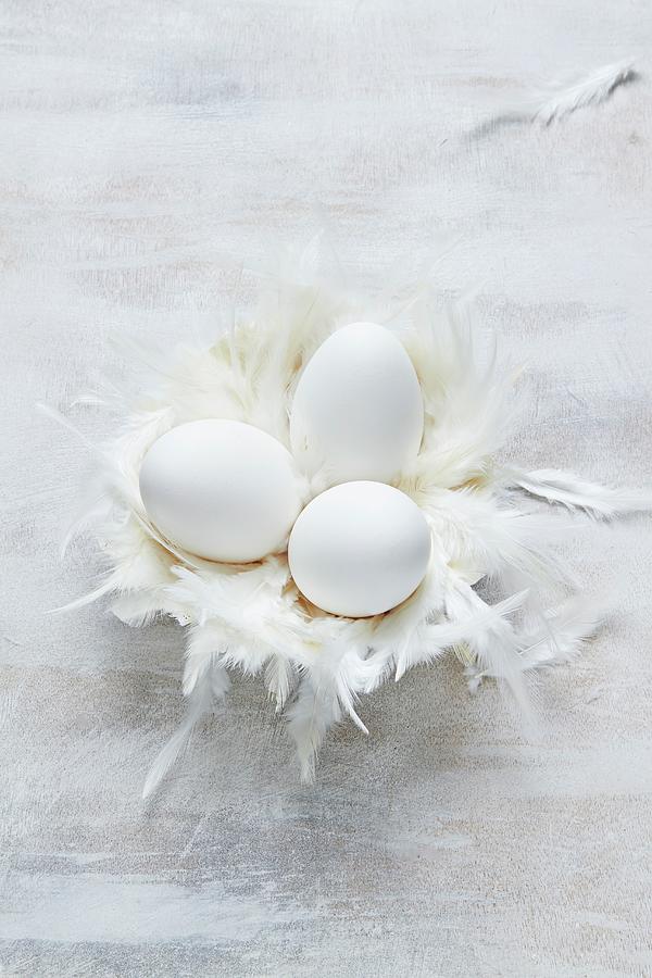 Goose Eggs In A Feather Nest Photograph by Miriam Rapado