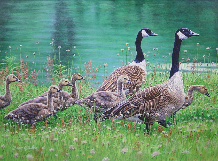 Goose Family Outing Painting by Bruce Dumas