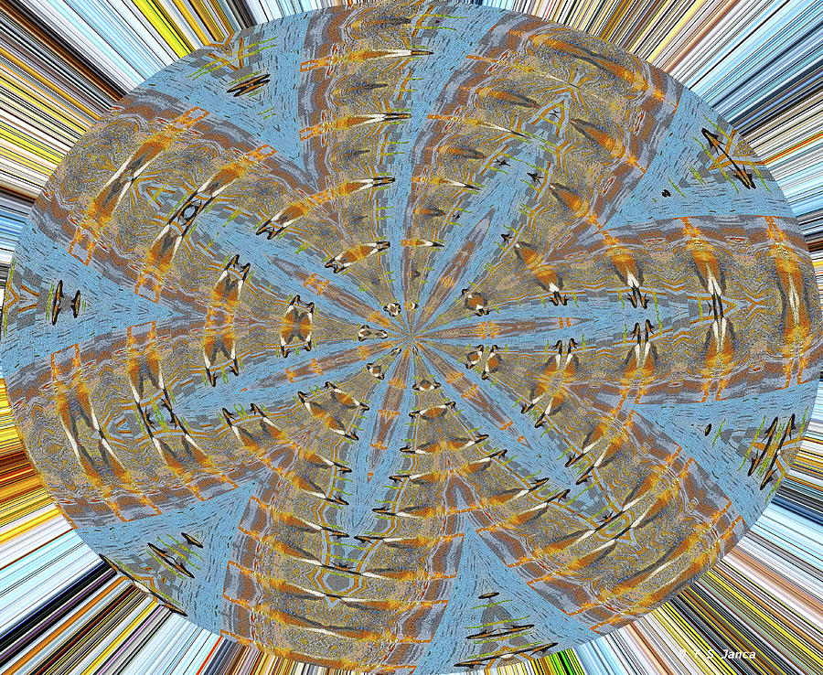 Goose Spectrum Oval Abstract  Digital Art by Tom Janca