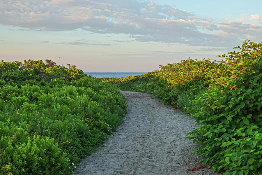 Gooseberry Island Path to the Ocean Westport MA Photograph by Toby McGuire