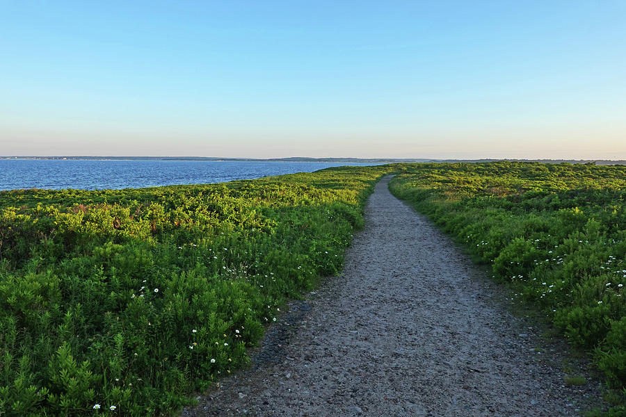 Gooseberry Island Path Westport MA Photograph by Toby McGuire