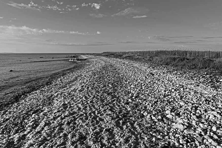 Gooseberry Island Rocky Beach Westport MA Black and White Photograph by Toby McGuire