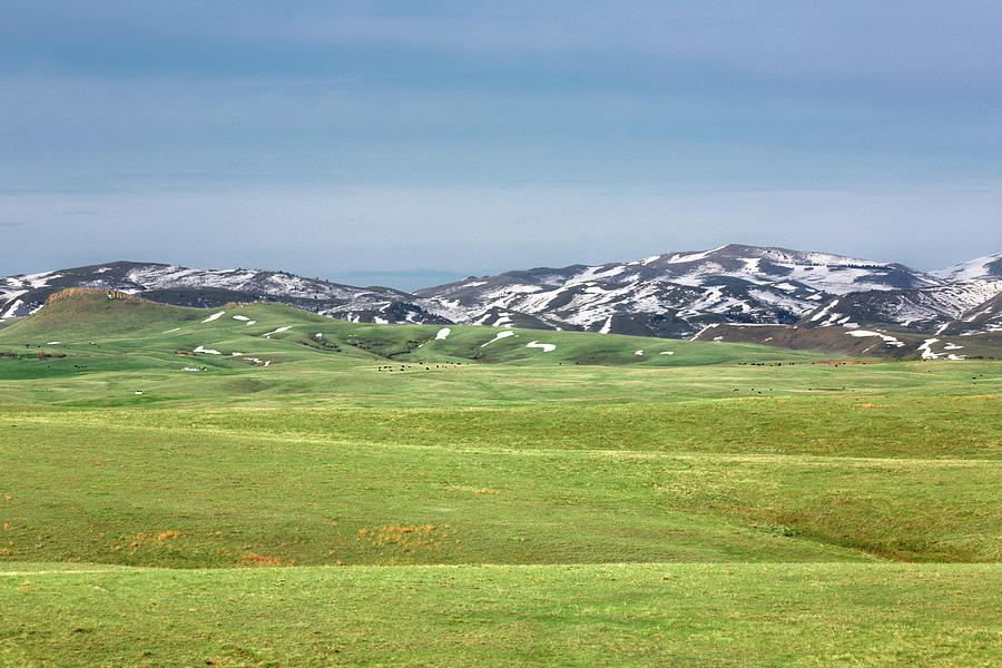 Gordon Ranch Landscape Photograph by Todd Klassy
