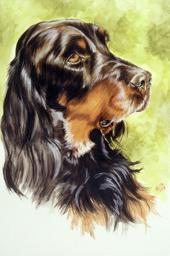 Dog Painting - Gordon Setter by Barbara Keith