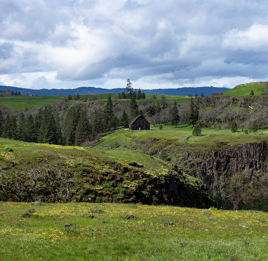 Gorge Spring by Steven Clark Gorge Spring by Steven Clark