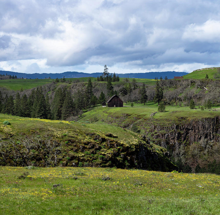 Gorge Spring Photograph by Steven Clark