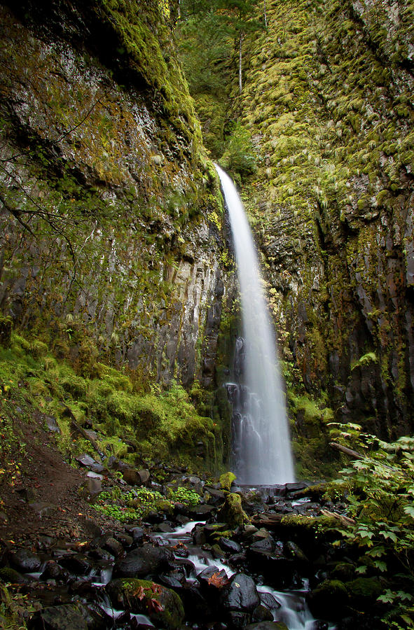 Gorge Waterfall Photograph by Jean Noren