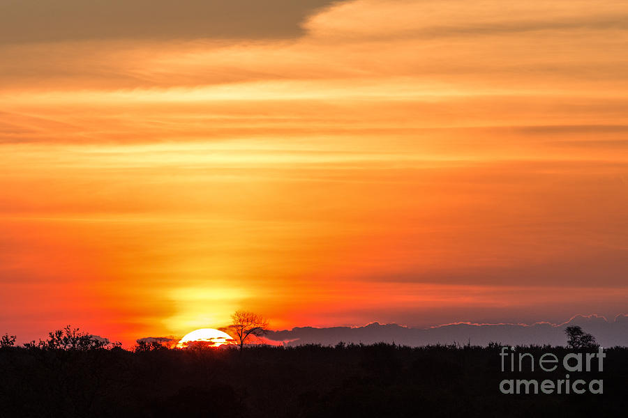 Sunrise Photograph - Gorgeous African Sunset In Kruger by Stephen Lew