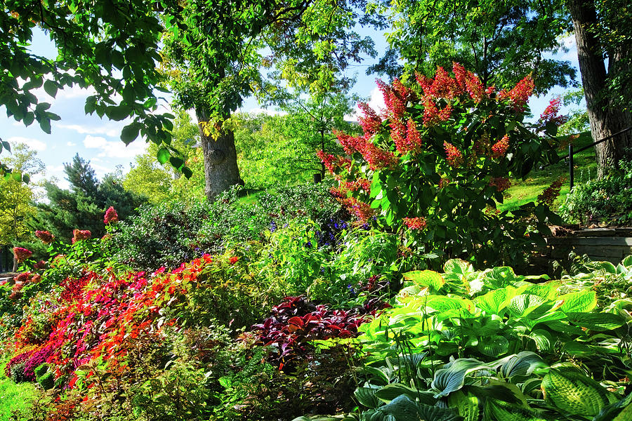 Garden Photograph - Gorgeous Gardens at Cornell University - Ithaca, New York by Lynn Bauer
