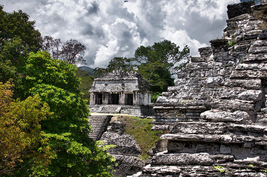 Gorgeous Palenque Photograph By David Resnikoff - Fine Art America