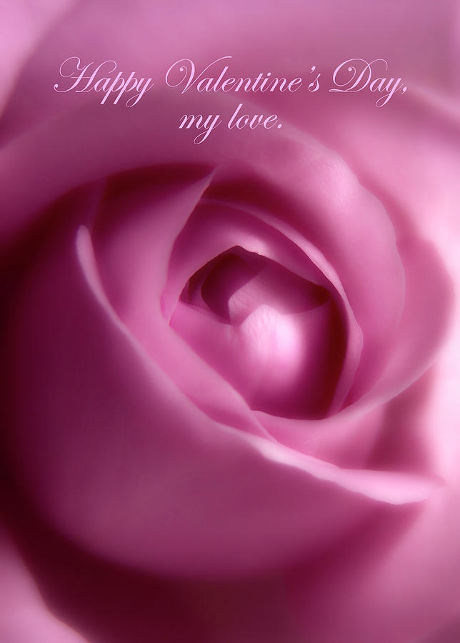 Gorgeous Soft Pink Rose For Valentines Day Photograph by Johanna Hurmerinta