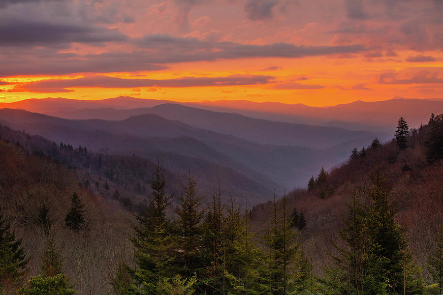 Gorgeous Sunrise in Smoky Mountains Photograph by Carol Mellema - Fine ...