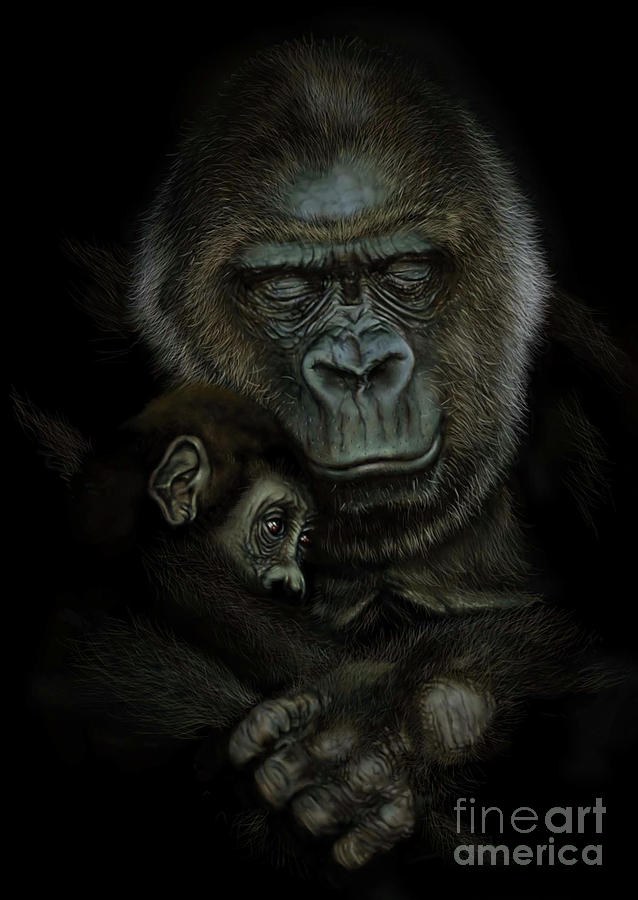 Animal Drawing - Gorilla  by Andre Koekemoer