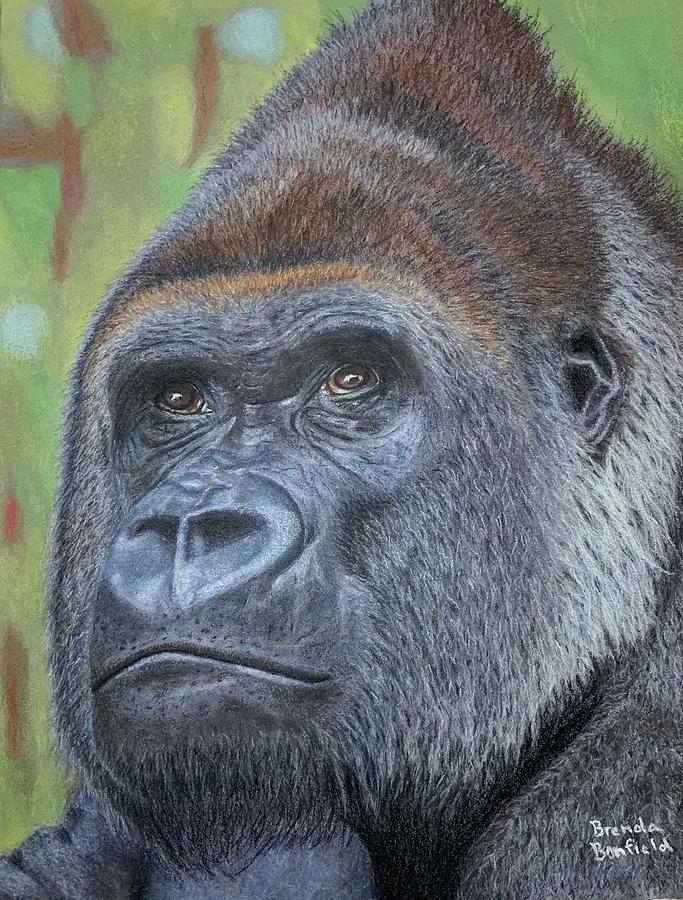 Gorilla Pastel by Brenda Bonfield