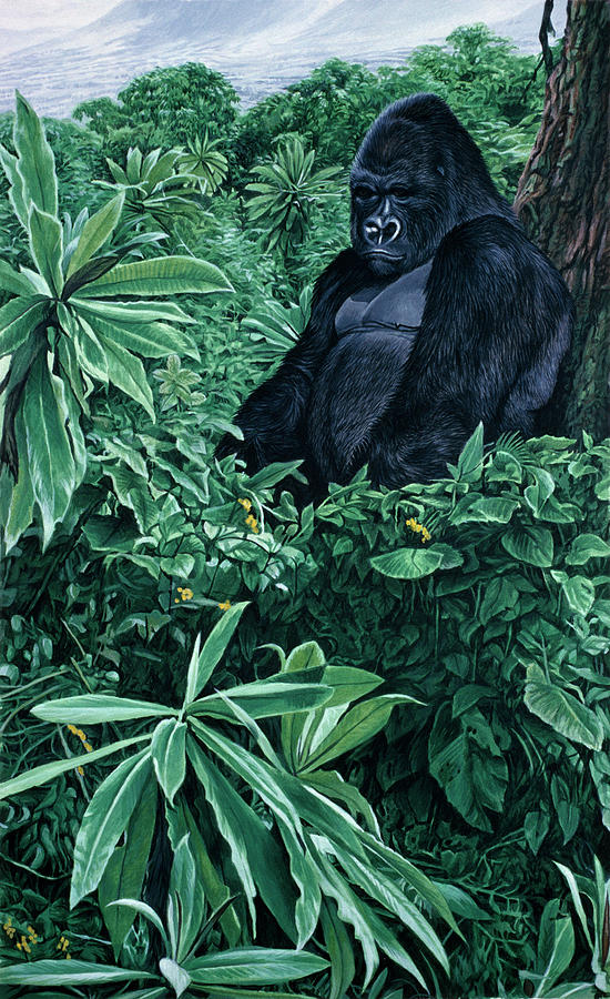 Gorilla Painting by Ron Parker