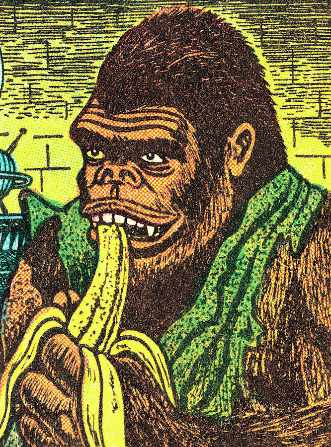 Jungle Drawing - Gorilla with banana by CSA Images