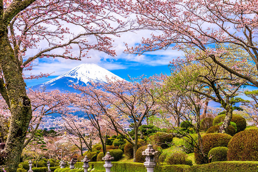 Spring Photograph - Gotemba City, Japan At Peace Park by Sean Pavone