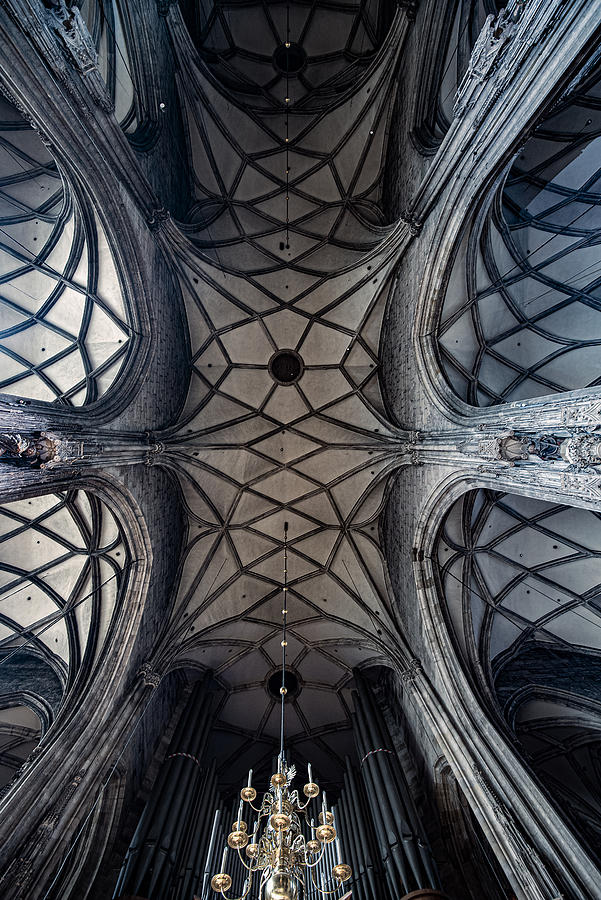 Gothic Web Photograph by Mike Kreiten