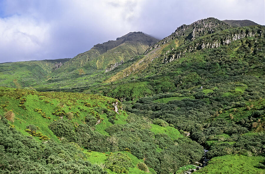 Gough Island, Volcanic Landscape, Lowland Plateau With Bog Photograph by Tui De Roy / Naturepl.com Gough Island, Volcanic Landscape, Lowland Plateau With Bog Photograph by Tui De Roy / Naturepl.com