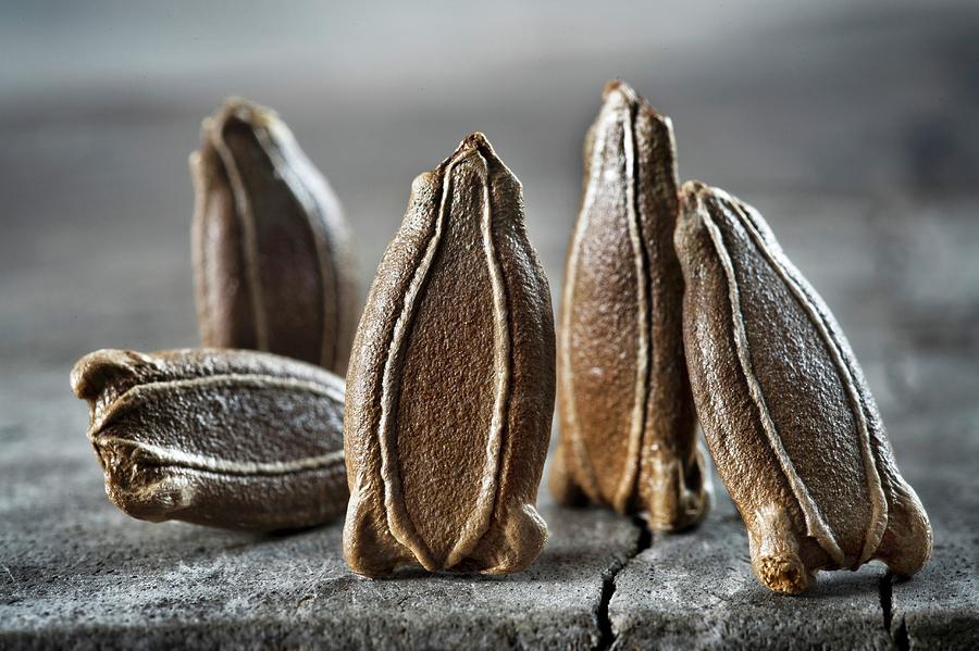 Gourd Seeds close-up Photograph by Lode Greven Photography