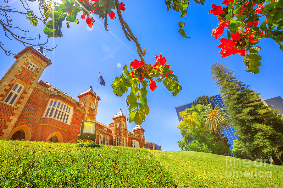 Government House Garden Perth Photograph by Benny Marty