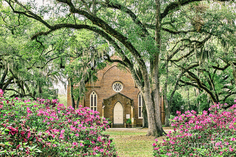 Architecture Photograph - Grace Episcopal Church Under the Oaks by Scott Pellegrin