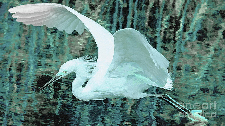 Bird Mixed Media - Grace In Motion, Sea Sand by Banyan Ranch Studios Bird Mixed Media - Grace In Motion, Sea Sand by Banyan Ranch Studios