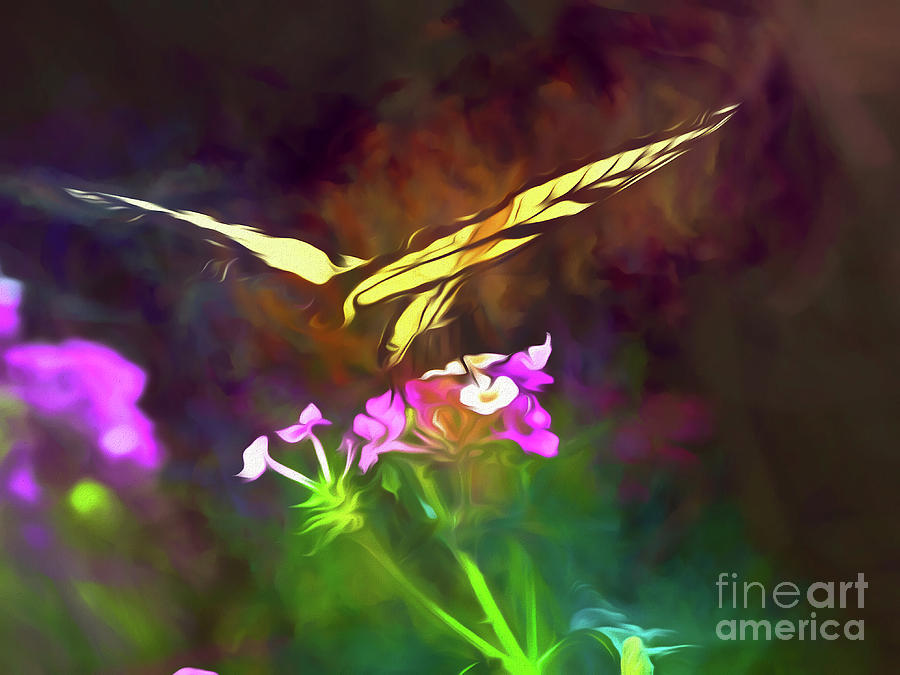 Graceful In Flight by Amy Dundon Graceful In Flight by Amy Dundon
