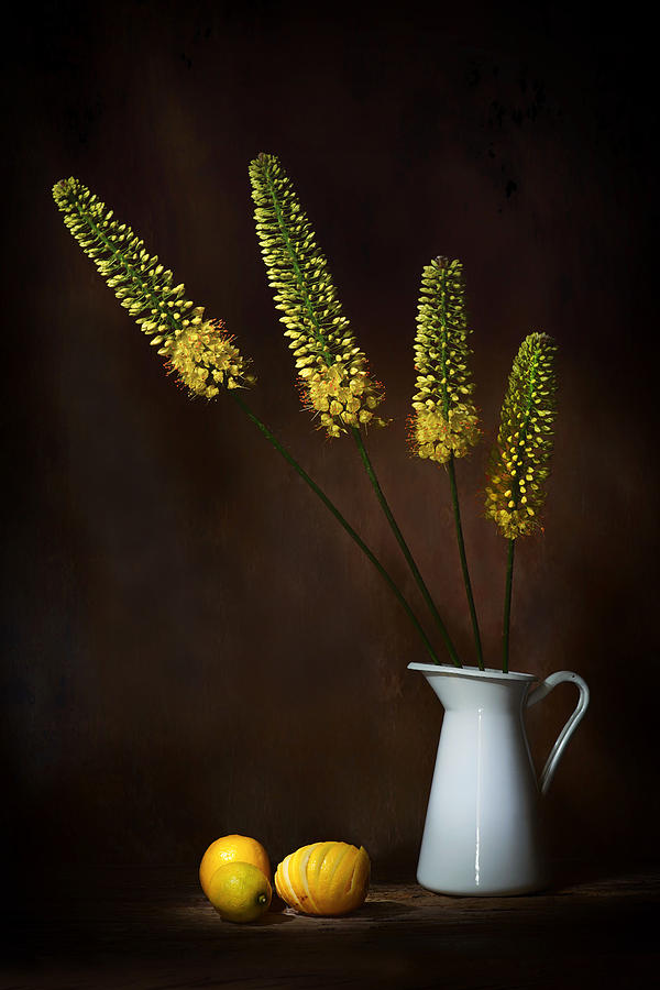 Flower Photograph - Gradients In Yellow by Saskia Dingemans