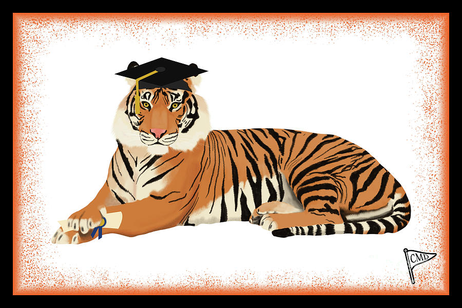 graduation tiger plush