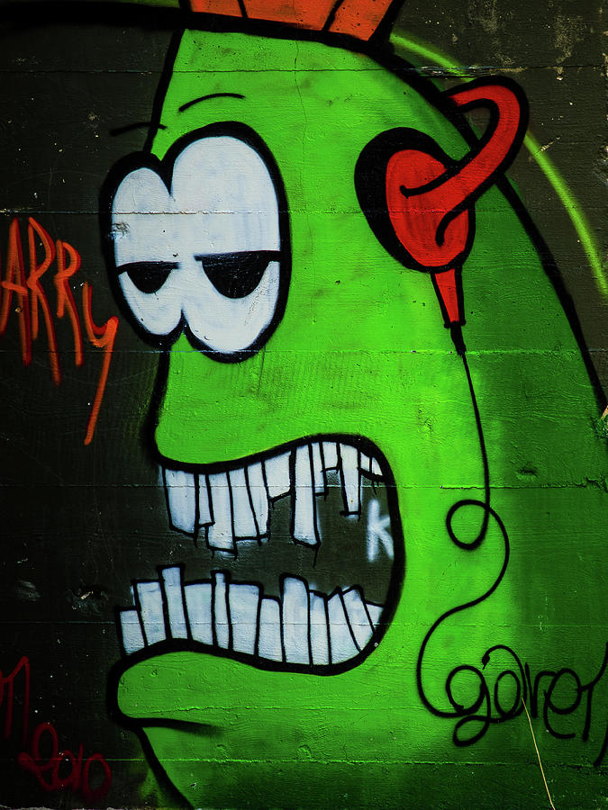Graffiti 13 Photograph by Jorg Becker