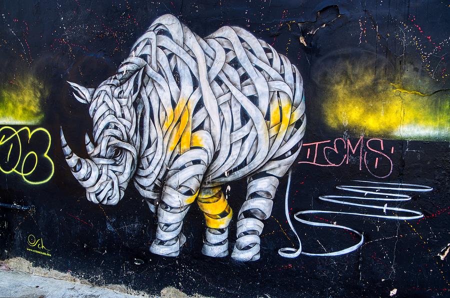 Graffiti art painting of Rhino Photograph by Raymond Hill