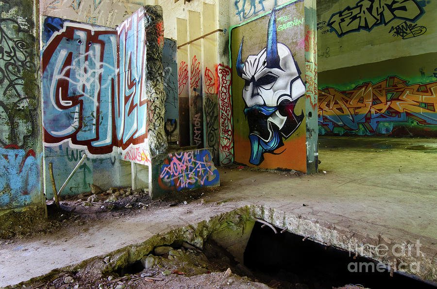 Graffiti Art Urban Exploration 1 Photograph by Bob Christopher