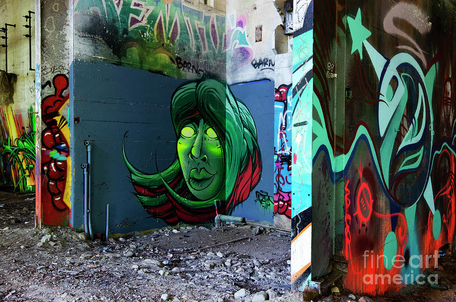 Graffiti Art Urban Exploration 5 Photograph by Bob Christopher