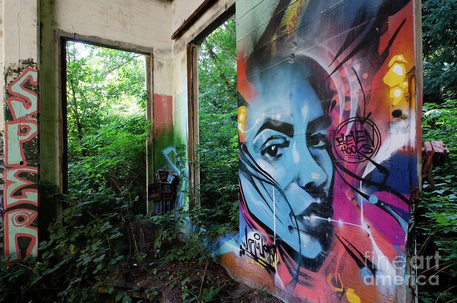 Graffiti Art Urban Exploration 6 Photograph by Bob Christopher