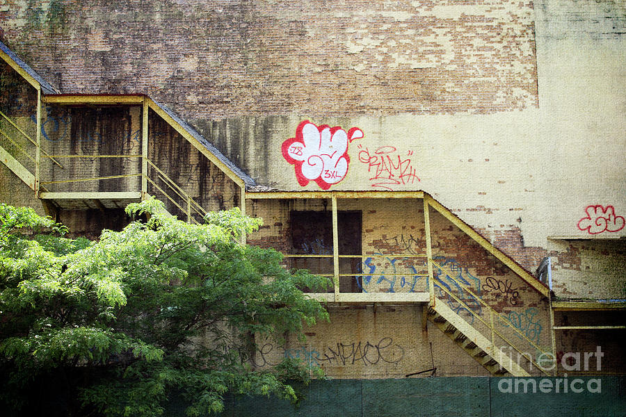 Graffiti Art Work - Coney Island - No. 1 Photograph by Doc Braham